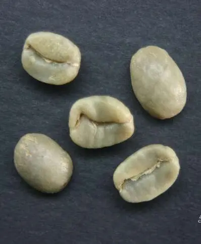 8 Decolorado sobresecado MDA