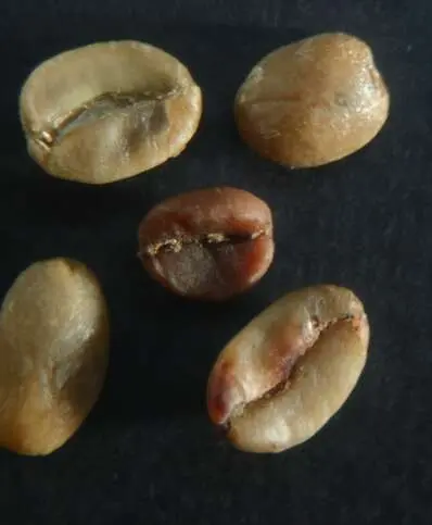 3 Vinagre total o parcial MDA