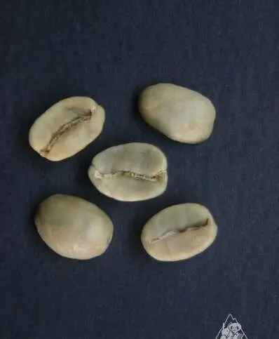 6 Decolorado reposado MDA