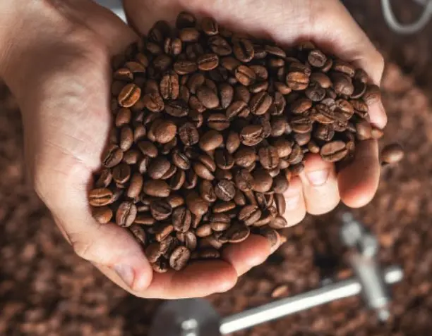 ¿Qué es el café de especialidad?