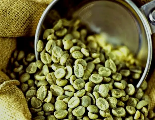 Defectos de los granos de café verdes: definición y clasificación