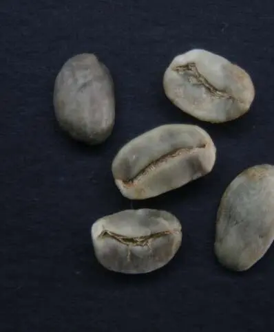 5 Decolorado veteado MDA