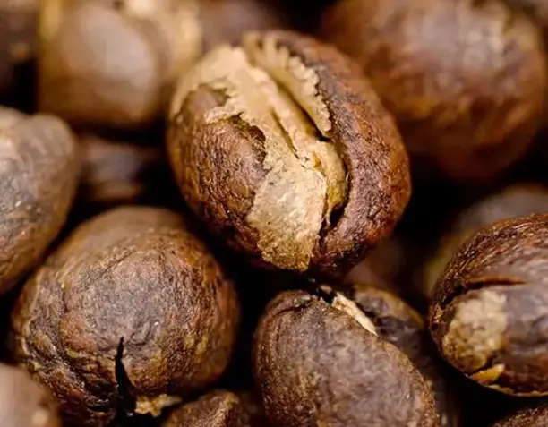 Peaberry: cuando la baya solo tiene un grano