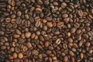 ¿Qué es el café de especialidad? Guía del Specialty Coffee