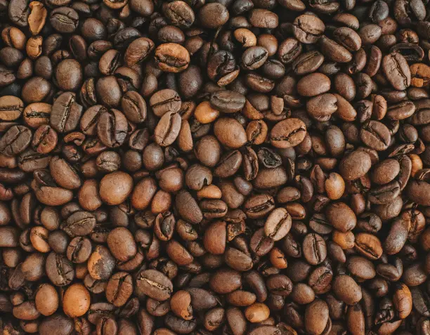 ¿Qué es el café de especialidad? Guía del Specialty Coffee