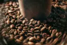 ¿Color o Desarrollo? Por qué tu café sabe a "hierba" (y cómo evitarlo)