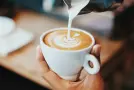 La Ciencia de la Leche: Guía para el Café Perfecto