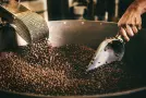 El Arte de la Acidez: Cómo Moldear el Sabor Durante el Tueste