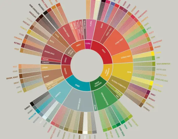 ¿Qué Significan las Notas de Frutas, Chocolate o Flores en la Descripción de un Café?
