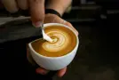 La Leche para Cappuccino: Guía Completa para Baristas y Amantes del Café