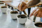 How to Describe Coffee Flavor: Aroma, Acidity, Body & More | Blue Faro