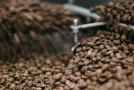 Tostado del café: cómo se desarrollan el aroma y el sabor