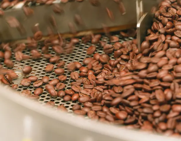 Cómo entender el tueste del café: color, desarrollo y velocidad de tueste