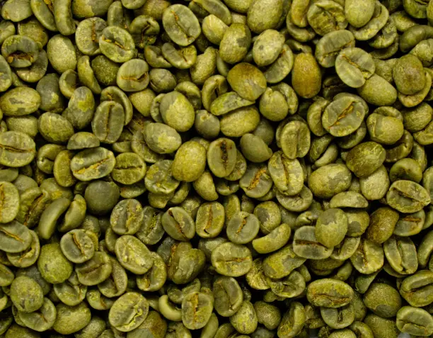 Green Coffee Beans: Varieties, Size, Structure and Classification