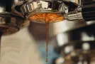 Espresso Extraction Experiment: How to Train Your Palate
