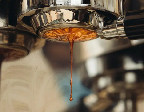 Espresso Extraction Experiment: How to Train Your Palate