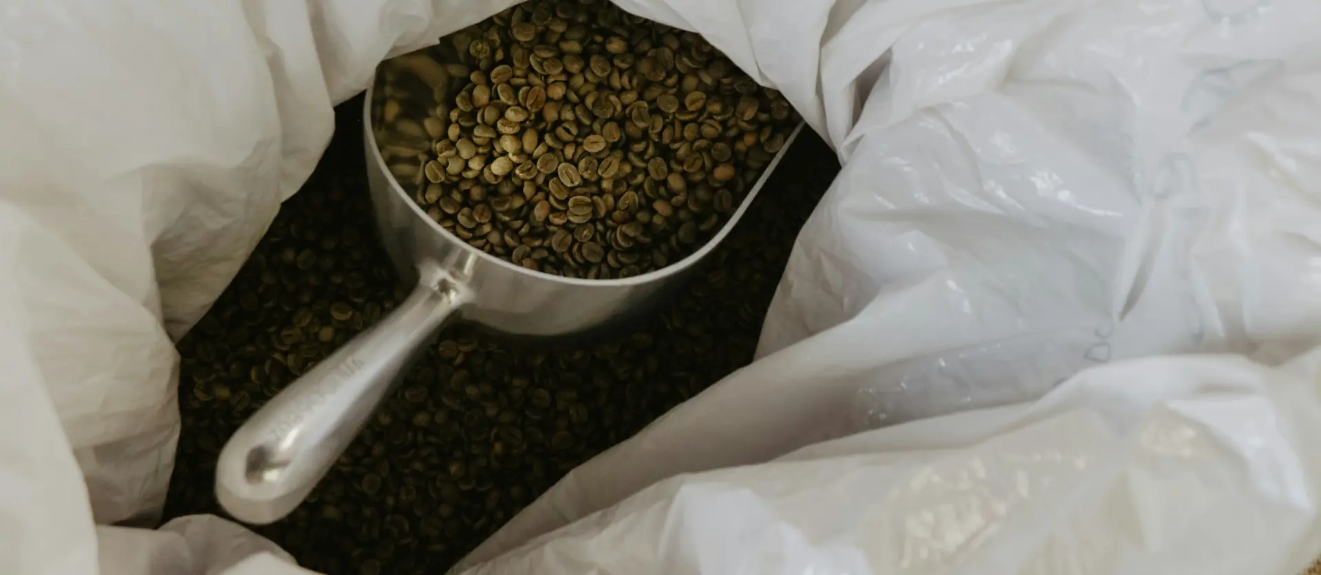 UNA DECADA APRENDIENDO, <br> TOSTANDO Y PERFECCIONANDO CADA CAFÉ <br> PARA QUE DISFRUTES UNA TAZA EXCELENTE.