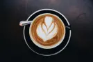 Plant-Based Milk for Coffee: Which to Choose and Steam