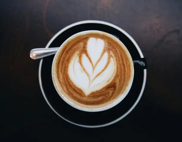 Plant-Based Milk for Coffee: Which to Choose and Steam