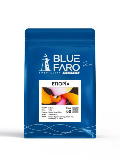 Ethiopia Sidamo - Gatta